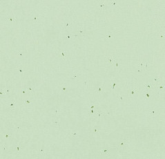 Линолеум Forbo Sphera Energetic 50238 sea green фото 1 | FLOORDEALER